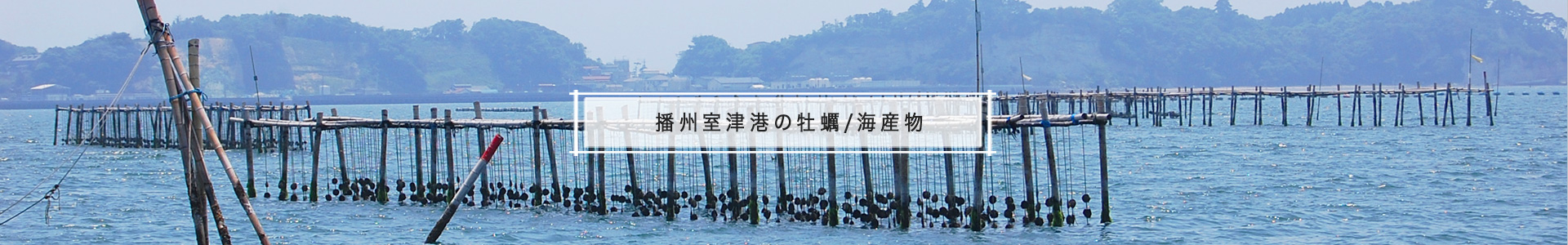 株式会社盛商
